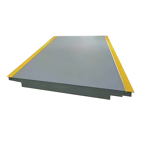 Digital electronic salsissimus vir vivens scale