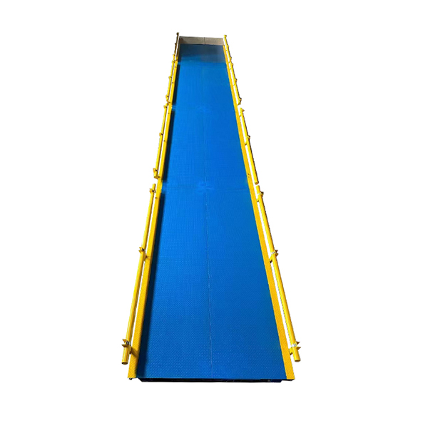 Electronic salsissimus vir vivens scale in ore custodia