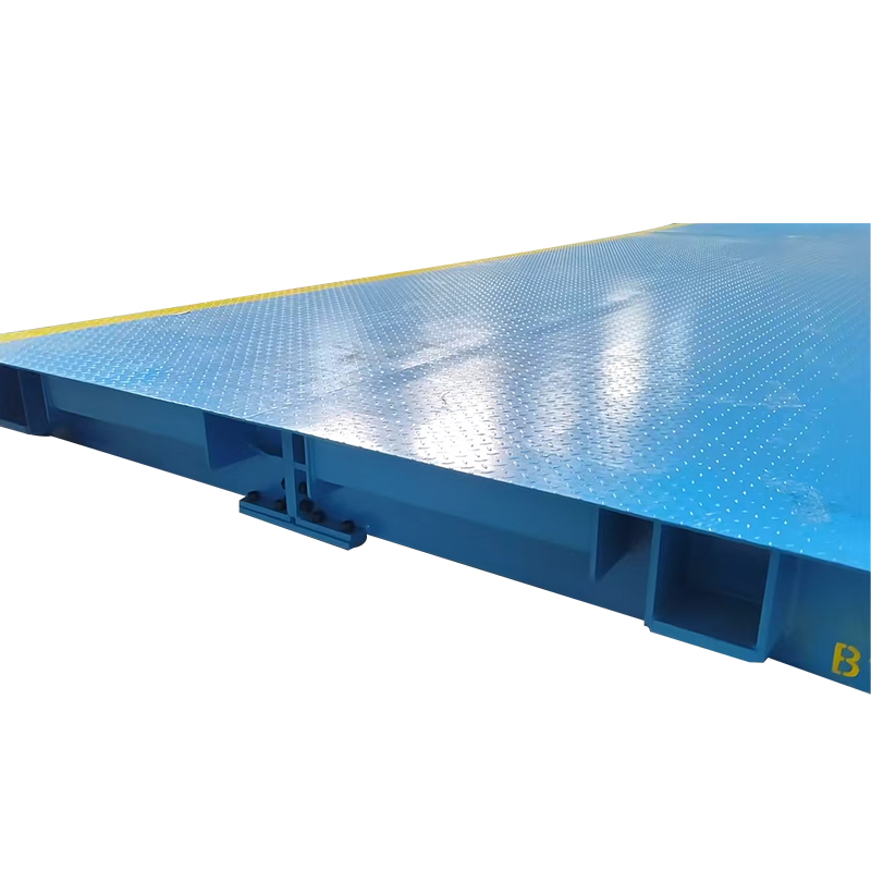 Export salsissimus vir vivens scale